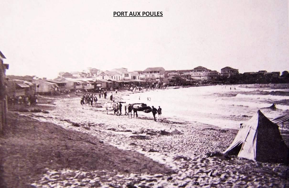 Port aux poules 028.jpg